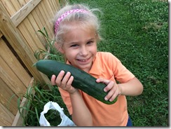 Mega-cucumber!